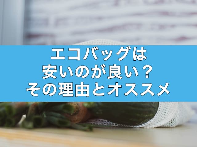 エコバッグは安いのが良い？その理由とオススメをご紹介