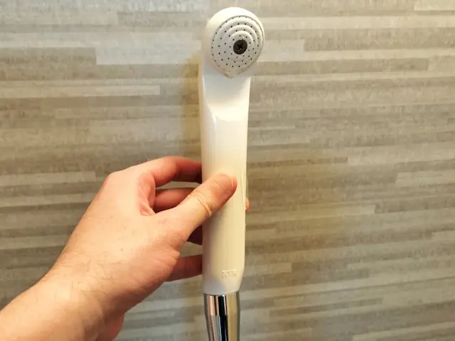 旧シャワーヘッド