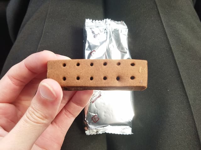 トップバリュ　ライトミールブロック　チョコ味 見た目