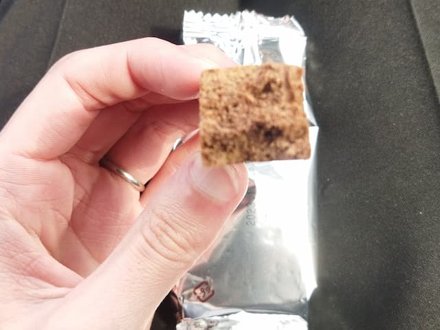 トップバリュ　ライトミールブロック　チョコ味　中身