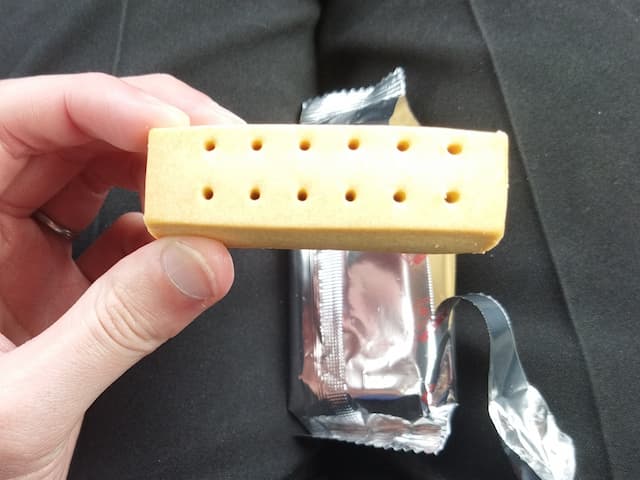 トップバリュ　ライトミールブロック　メープル味　見た目